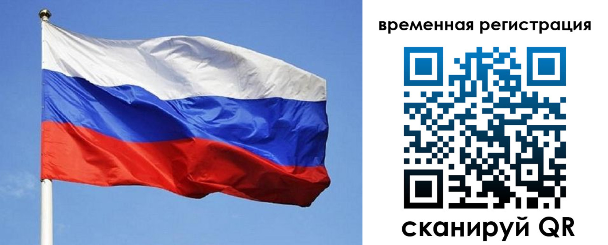 прописка в квартире в Сольцах